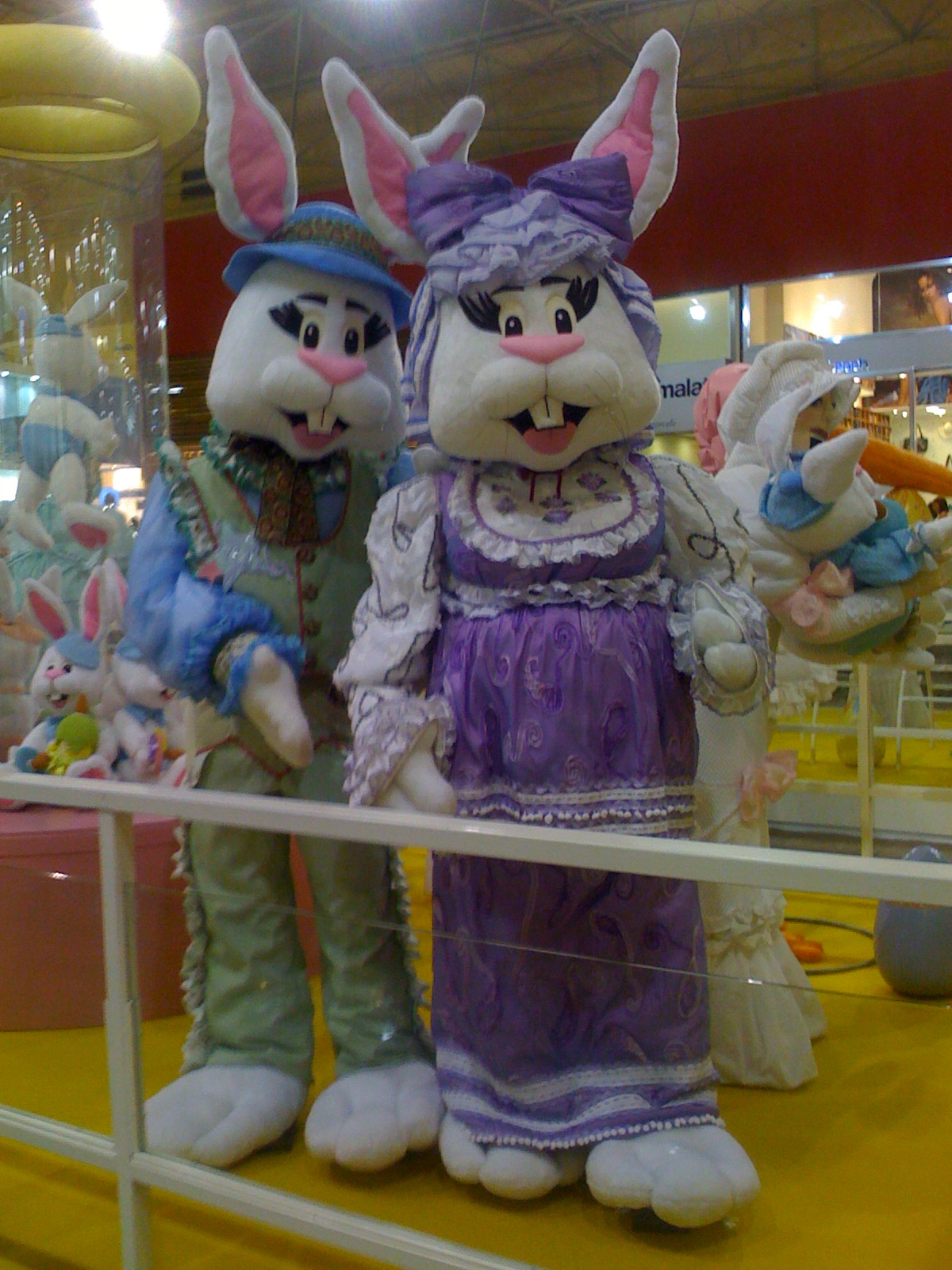 [IMG_0650.JPG]