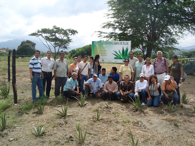 Día de campo en el banco de germoplasma de Aloe (Universidad del Magdalena).