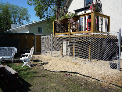 Backyard Landscaping Ideas With Dogs Pdf