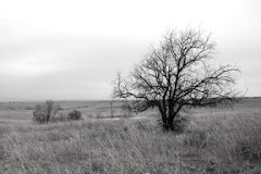 Oklahoma Landscape