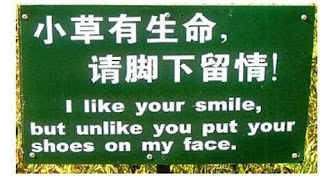 stupid-asian-signs-funny.jpg