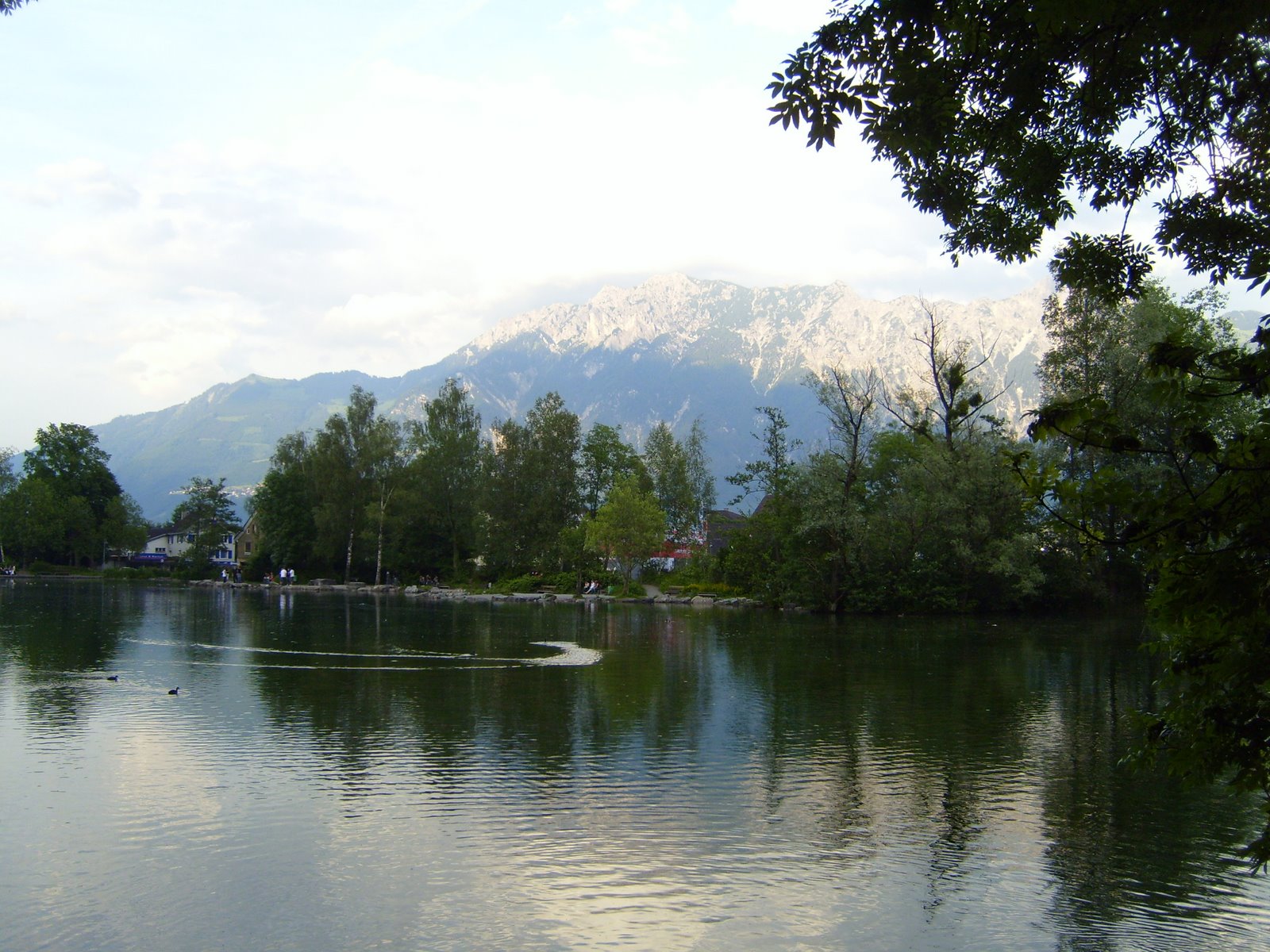 [S7001300.JPG]