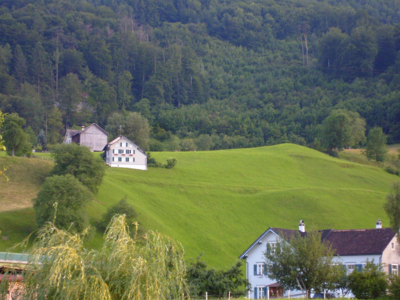 [S7001254.JPG]