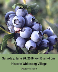 27th Annual Blueberry Festival