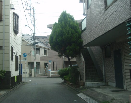 [P8040573.JPG]