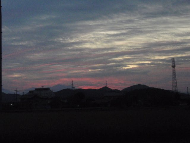[P8150694.JPG]