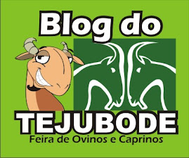 Blog do Tejubode