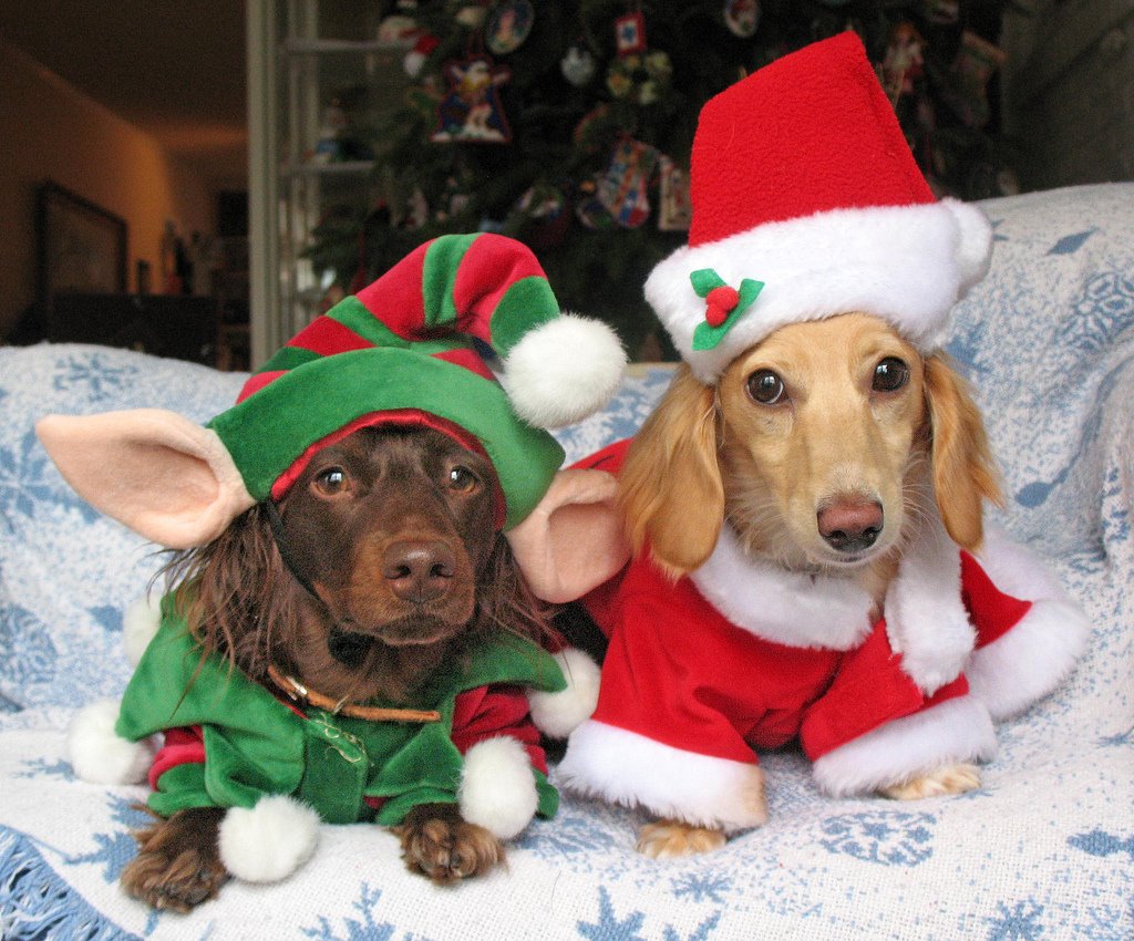 [2130910324_0be567729a_b.jpg]