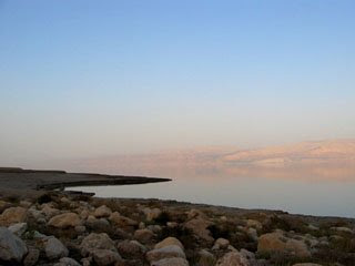Экологи спасают Мертвое море