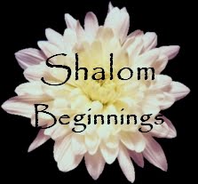 Shalom Beginnings