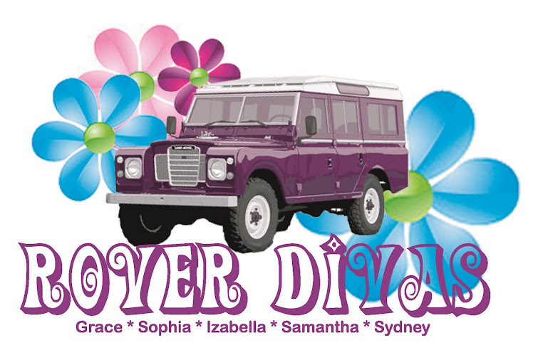 Rover Diva Logo