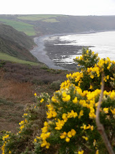 On the path to Greencliff