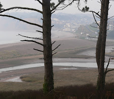 The mouth of the River Otter and sleepy Budleigh