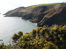 On the way to Scabbacombe Head