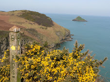 Rumps ahead and The Mouls rock