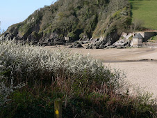 The Flete Estate beach near Mothecombe