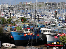 The Plymouth Marina at Turnchapel