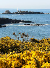 Saturday April 11th - The rocks off Wembury Point nr Heybrook