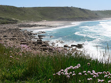 Whitesand Bay looking towards Sennen