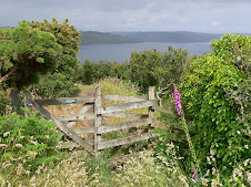 Looking back towards Dodman Point