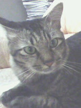 MEOW AKE NGULUNG NAKINI