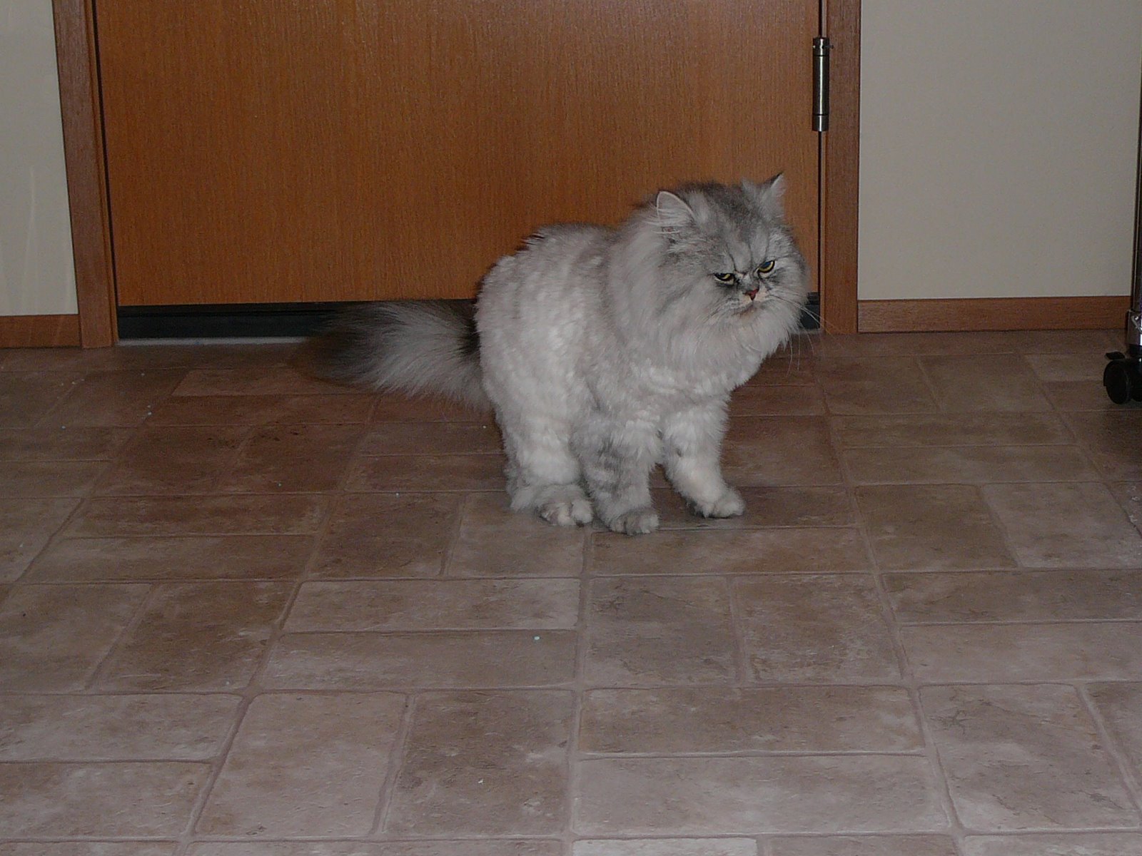 [P1040824.JPG]