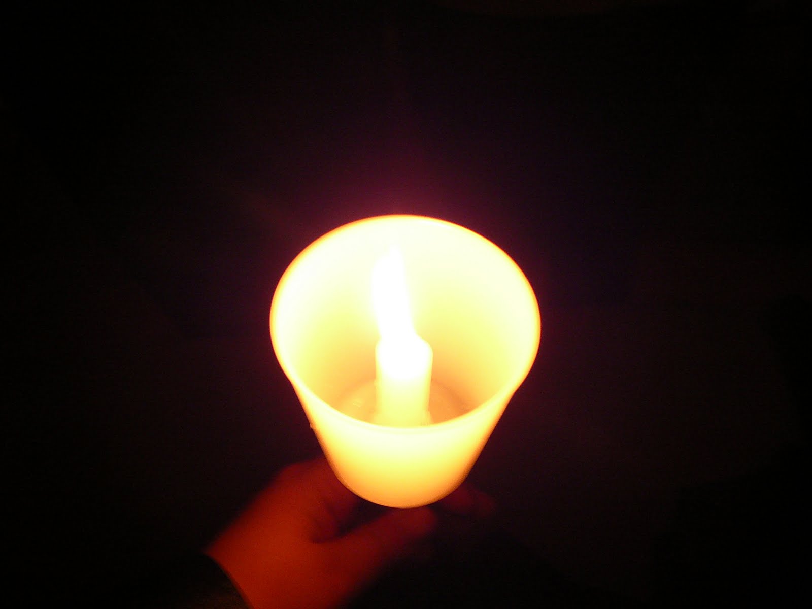 [P1010754.JPG]