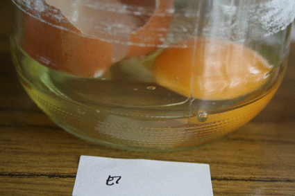 [IMG_7559.gif]