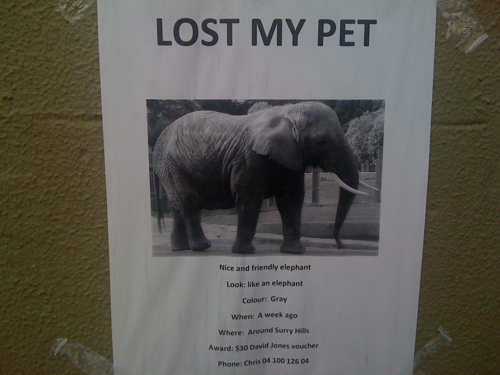 Image result for elephant lost