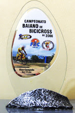 Vice-Campeão Baiano 2008