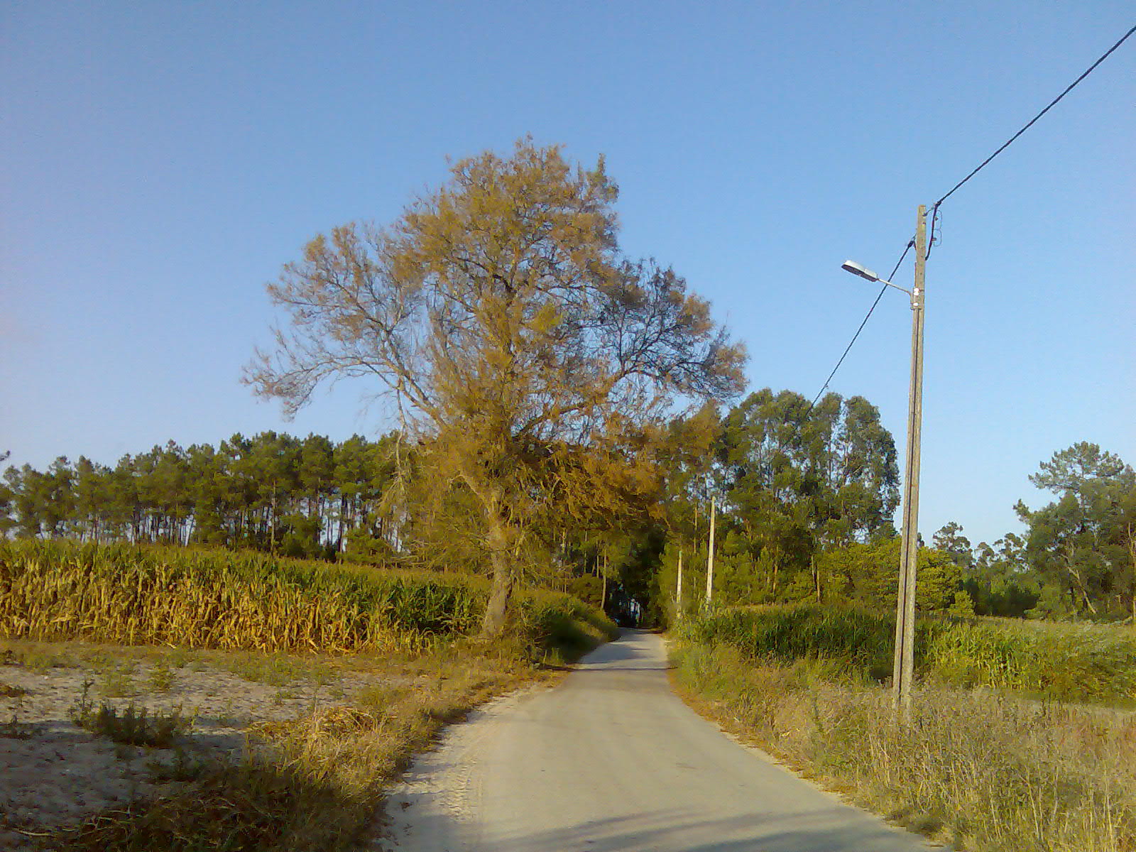 [Imagem+3516.jpg]