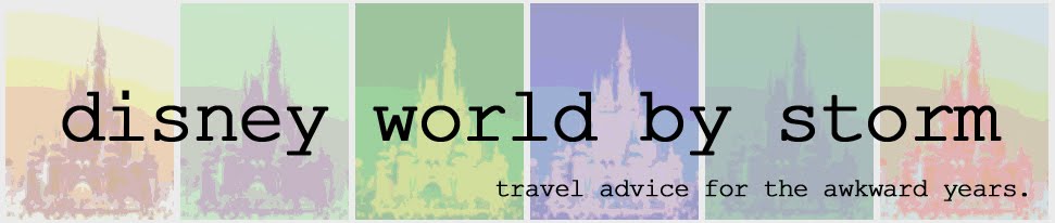 Disney World By Storm: For Teens and Young Adults