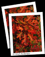 fineprint imaging fineprint imaging