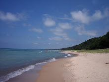 The Coast of Michigan