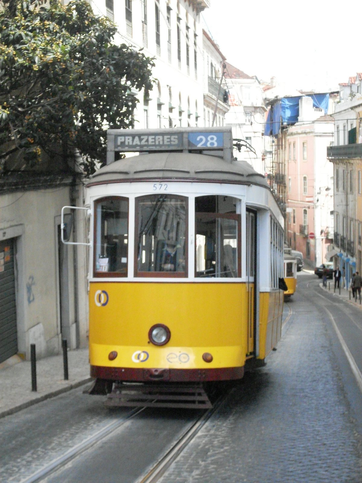 [SDC12365.JPG]