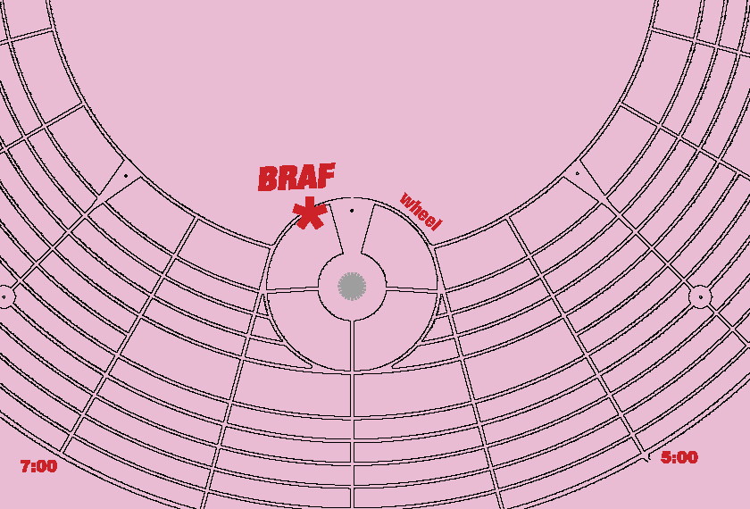 [BRAF+croppped.JPG]