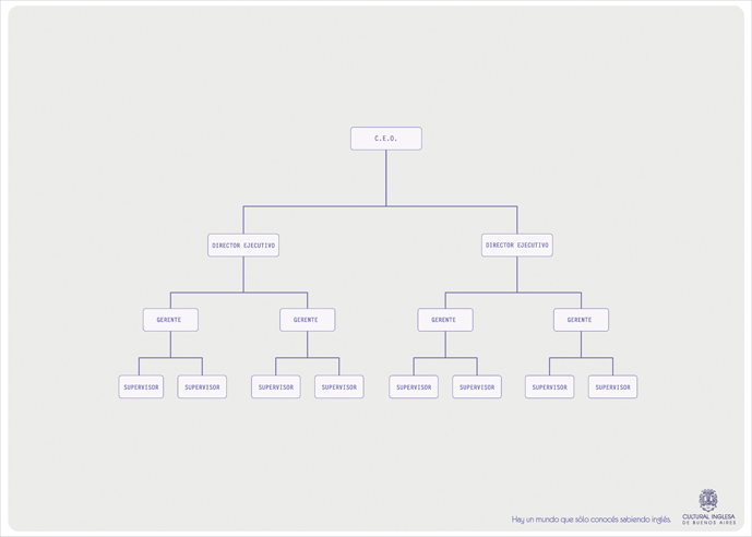 "CEO" para la Cultural Inglesa de Buenos Aires
