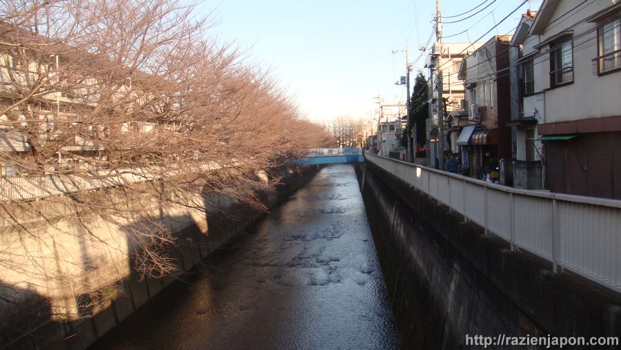 [DSC09531.JPG]