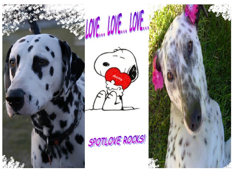 [SPOTLOVE.JPG]