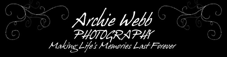 Webb Photography