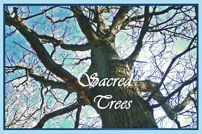 Sacred Trees
