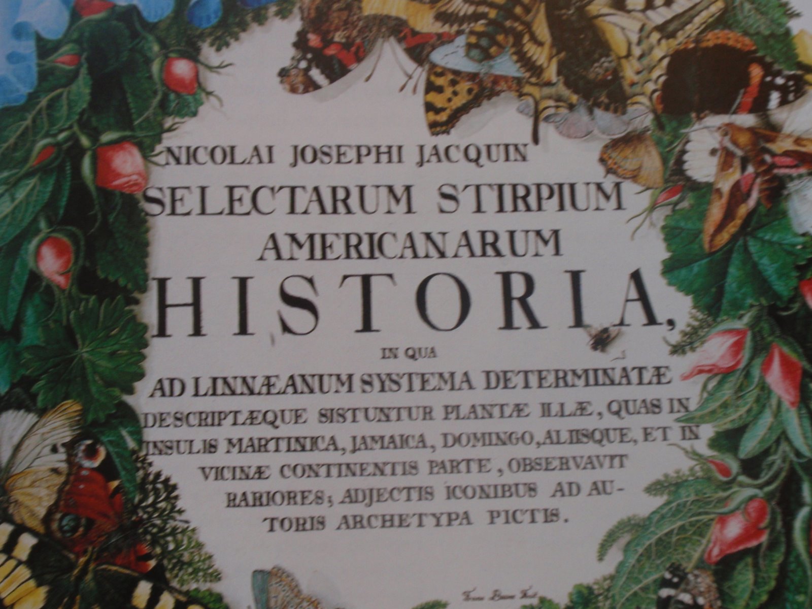 [20090109_09.JPG]