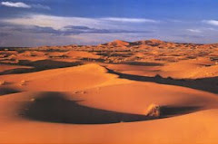 sand dunes