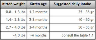 Kitten Weight Chart