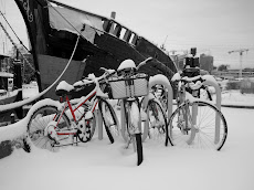 Bikes in the snow