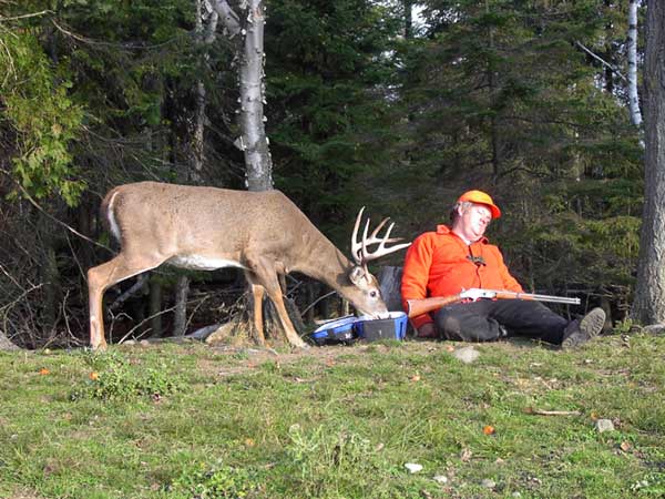 funny-deer-picture-sleeping-hunter-outdoors-smart-animal-stealing-food.jpg
