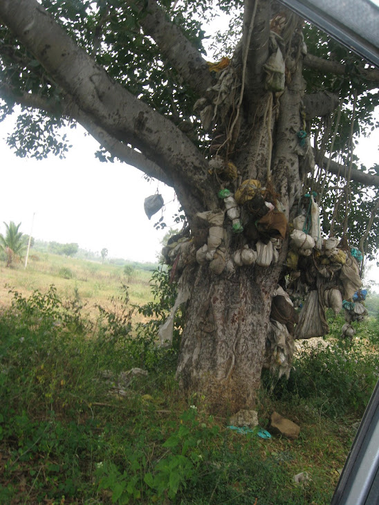 Placenta Tree