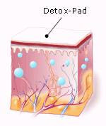 cara toksin disedut oleh foot detox patch