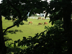 Shenandoah Crossing Resort