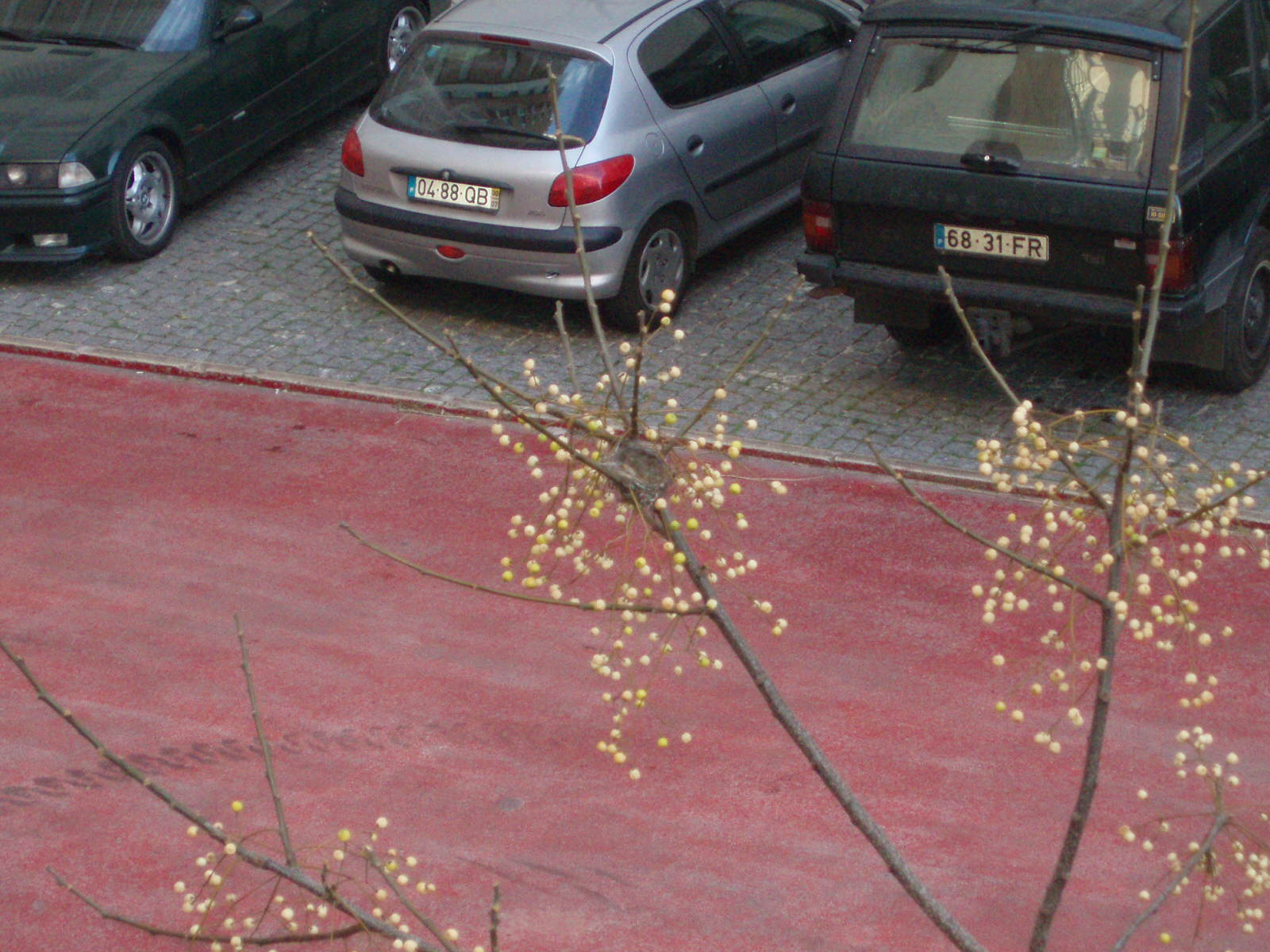 [PC260059.JPG]